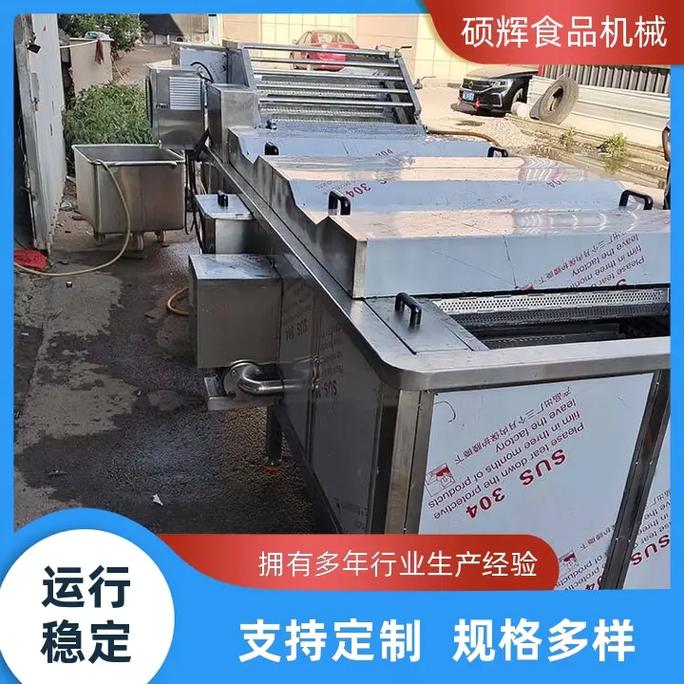 中药材气泡清洗机工厂,就找硕辉食品机械